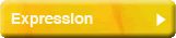 Expression | 表現